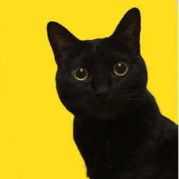 猫ハウス
