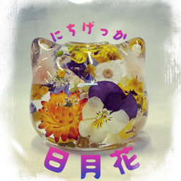日月花（にちげっか）