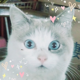 まーち