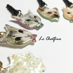 le-chatfine