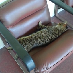 ふゆまつり