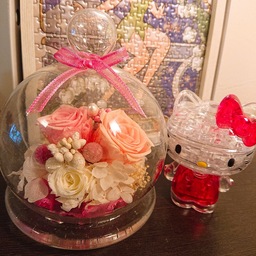 Twinkle@HappyCompany