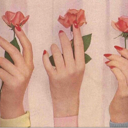 honey & darling ♡.゜