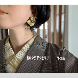 noa