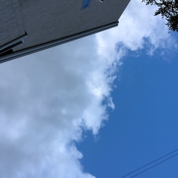 harukasi1126