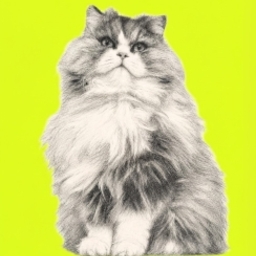 favoroni