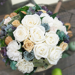 onflowers