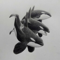 南端ウヲノゾキ