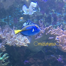 mizutama工房