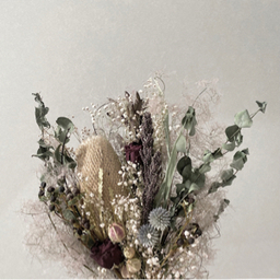 interior shop  yunto