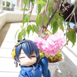 ひつじ屋