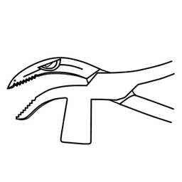 reijiashiato
