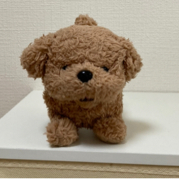 たぬき