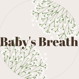 Baby’s  Breath