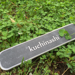 kuchinashi23