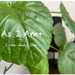 AsIAm+