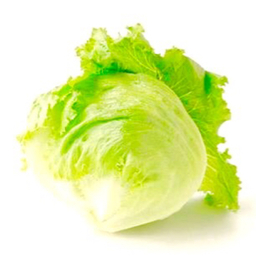 minilettuce