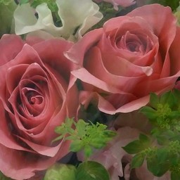 Reve d'amour