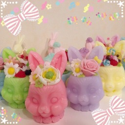 miwa＊rabbit