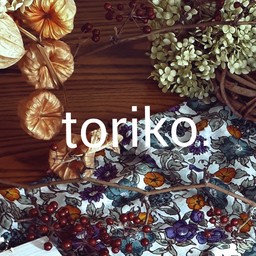 toriko.