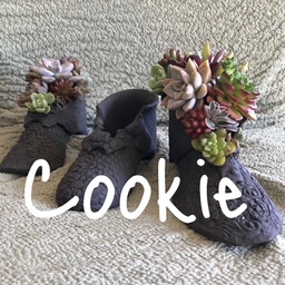 Cookie