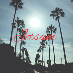 jetsam55