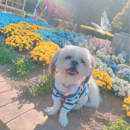 ゆっち☺︎︎♥
