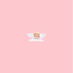 pink angel ♡