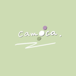 jun.camoca