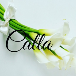 Calla