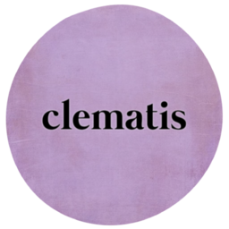 clematis