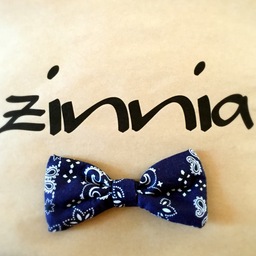 zinnia
