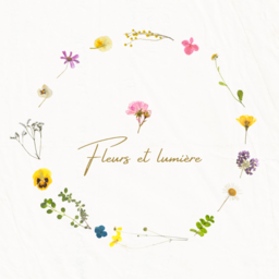 Fleurs et lumière