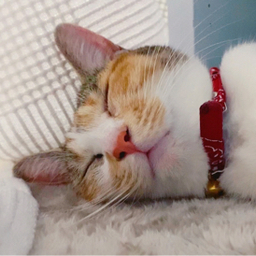 あーちゃん