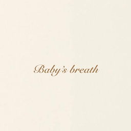 Baby’s breath
