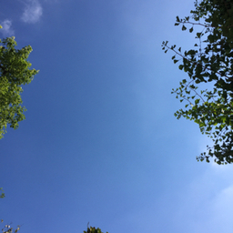 a  sunny day