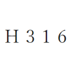 H316 STUDIO