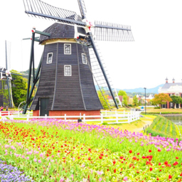 haave（ハーヴェ）