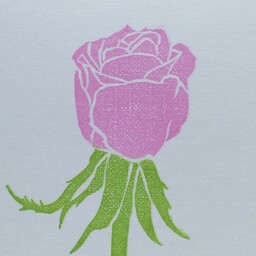 きょうこ