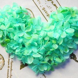 Magical Candy