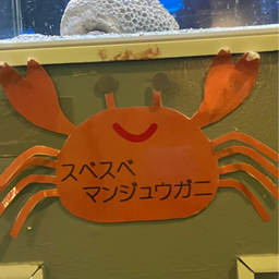すみれ