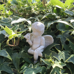 Meg's garden