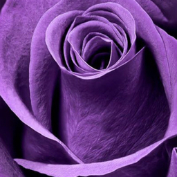 Bouquet Bijou**