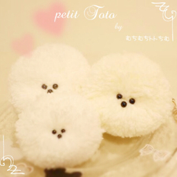 petit Toto