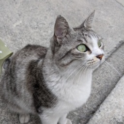 nakasoneco