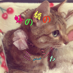 ★Misia★