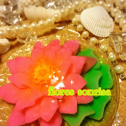 flores-7