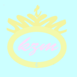 kzmin579