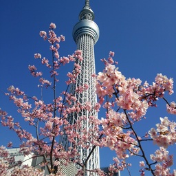 hiropopo
