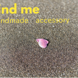 find me  accessory 
